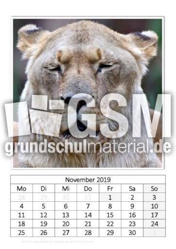 November_Löwin.pdf